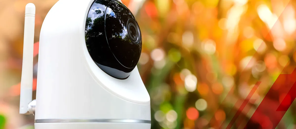 Maximizing Home Security: Integrating Pet Monitoring Cameras